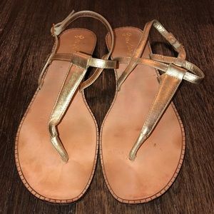 Gold Lily Pulitzer sandals